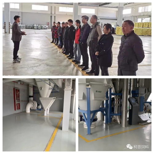 規(guī)模養(yǎng)殖服務商之清潔工廠：柯百微在行動